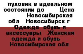 пуховик в идеальном состоянии до -10 › Цена ­ 1 000 - Новосибирская обл., Новосибирск г. Одежда, обувь и аксессуары » Женская одежда и обувь   . Новосибирская обл.